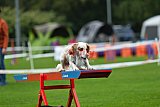 Royal Canin Masters 2025 geldrop