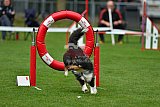 Royal Canin Masters 2025 geldrop