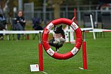 Royal Canin Masters 2025 geldrop