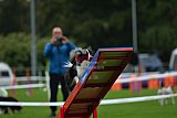 Royal Canin Masters 2025 geldrop