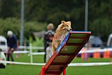 Royal Canin Masters 2025 geldrop