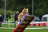 Royal Canin Masters 2025 geldrop