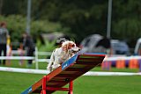 Royal Canin Masters 2025 geldrop
