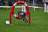 Royal Canin Masters 2025 geldrop