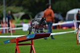 Royal Canin Masters 2025 geldrop