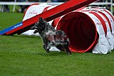 Royal Canin Masters 2025 geldrop