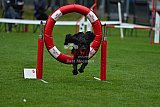 Royal Canin Masters 2025 geldrop