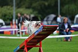 Royal Canin Masters 2025 geldrop