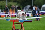 Royal Canin Masters 2025 geldrop