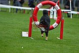 Royal Canin Masters 2025 geldrop