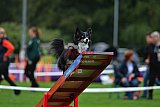 Royal Canin Masters 2025 geldrop