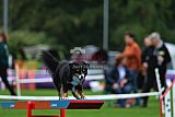 Royal Canin Masters 2025 geldrop