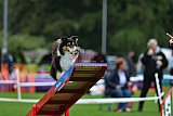 Royal Canin Masters 2025 geldrop