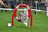 Royal Canin Masters 2025 geldrop