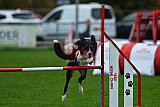 Royal Canin Masters 2025 geldrop