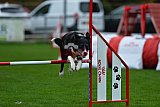 Royal Canin Masters 2025 geldrop
