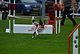 Royal Canin Masters 2025 geldrop