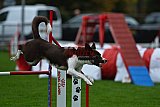 Royal Canin Masters 2025 geldrop