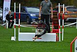 Royal Canin Masters 2025 geldrop