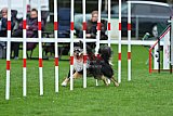Royal Canin Masters 2025 geldrop