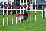 Royal Canin Masters 2025 geldrop