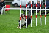 Royal Canin Masters 2025 geldrop