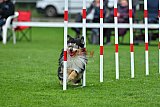 Royal Canin Masters 2025 geldrop