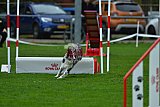 Royal Canin Masters 2025 geldrop