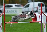 Royal Canin Masters 2025 geldrop