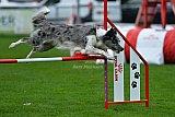 Royal Canin Masters 2025 geldrop