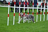 Royal Canin Masters 2025 geldrop