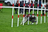Royal Canin Masters 2025 geldrop