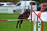 Royal Canin Masters 2025 geldrop
