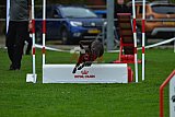 Royal Canin Masters 2025 geldrop