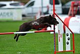 Royal Canin Masters 2025 geldrop