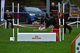 Royal Canin Masters 2025 geldrop