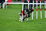 Royal Canin Masters 2025 geldrop