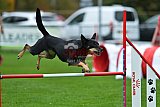 Royal Canin Masters 2025 geldrop