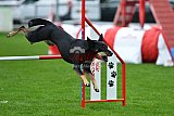 Royal Canin Masters 2025 geldrop