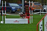 Royal Canin Masters 2025 geldrop