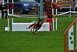 Royal Canin Masters 2025 geldrop