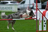 Royal Canin Masters 2025 geldrop