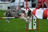 Royal Canin Masters 2025 geldrop