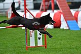 Royal Canin Masters 2025 geldrop