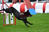 Royal Canin Masters 2025 geldrop