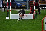 Royal Canin Masters 2025 geldrop