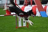 Royal Canin Masters 2025 geldrop