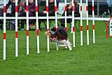 Royal Canin Masters 2025 geldrop