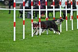 Royal Canin Masters 2025 geldrop