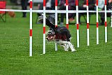 Royal Canin Masters 2025 geldrop